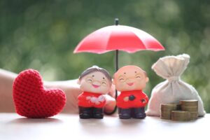 Indywidualne polisy na życie na tle cech wybranych produktów